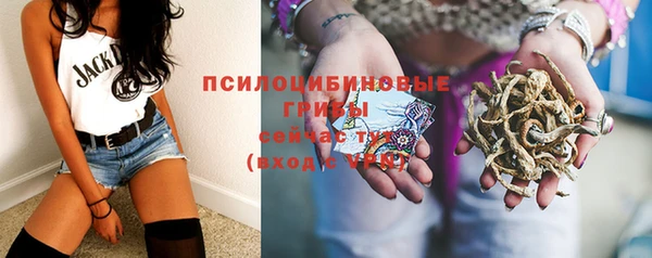 гашик Балабаново
