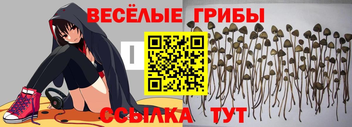 Псилоцибиновые грибы MAGIC MUSHROOMS Кунгур