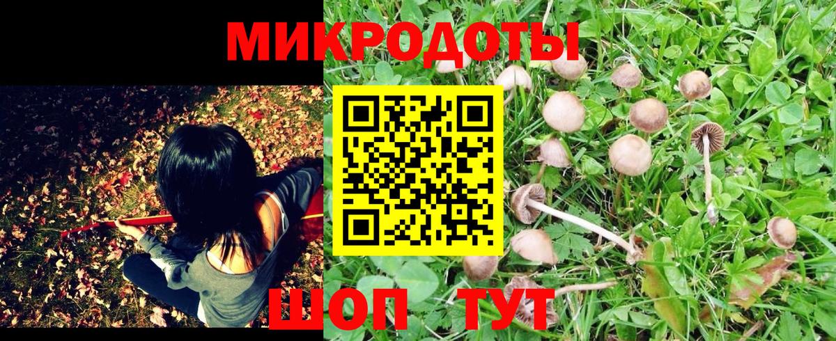 Кунгур  Псилоцибиновые грибы MAGIC MUSHROOMS  Вход с VPN 